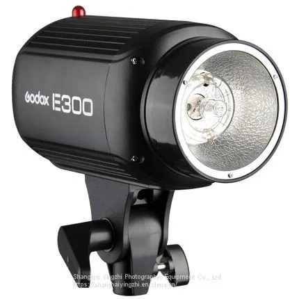 Godox E Series 300W Studio Flash for Photography(250WS Professional Studio Flash Light)