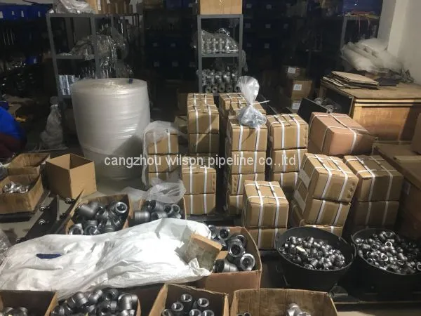 China Supplier Forged Pipe Fitting Reducer Insert sw 3000 6000 photo-2