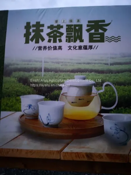 Manufacturers Direct Sales of 500 Grams of Super-grade Tea Powder Bagged Baked Food Mixing Drinks 500 Mesh Tea Without Adding photo-4