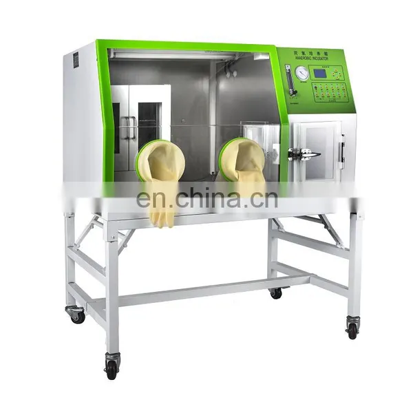 2020 China Manufacture Price Automatic Moisture And Temperature Control Medical Laboratory Lab Biological Anaerobic Incubator photo-6