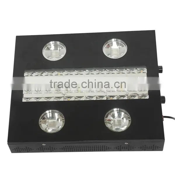 Full Spectrum Hydroponic 300 Watt Cheap Best Led Grow Lights photo-4