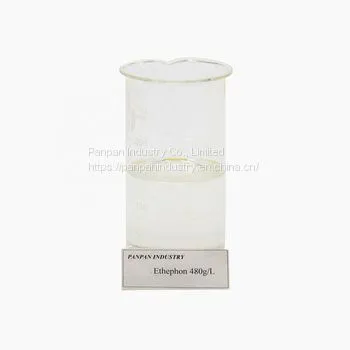 Factory Supply Pant Growth Regulator Ethephon 480g/l Ripening for Fruits and Vegetables