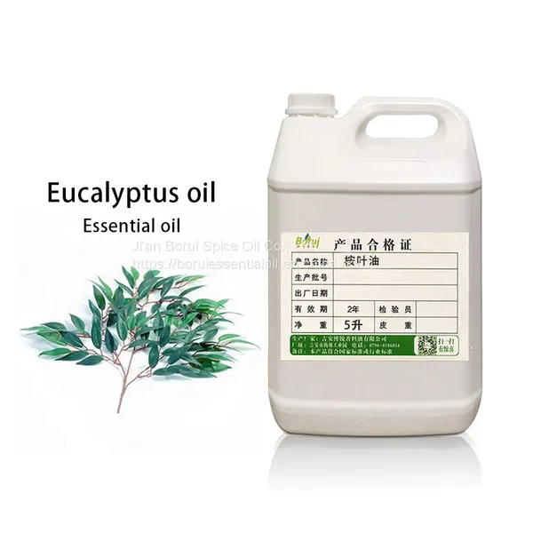 Manufacturer Supplier Bulk Price 100% Pure Organic Eucalyptus Essential Oil for Sale