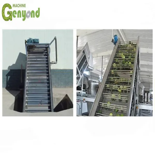 Shanghai Complete Strawberry Paste Making Machines for Concentration for Fruit & Vegetable Processing photo-2