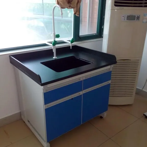 Laboratory Sink