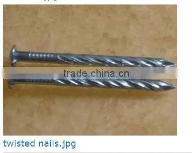 High Quality Twisted Nails Factory photo-2