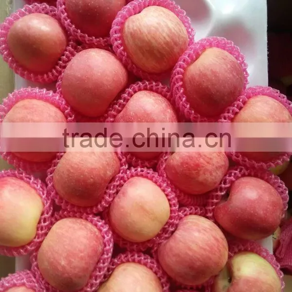 Top Quality Fresh Red Fuji Apple photo-3