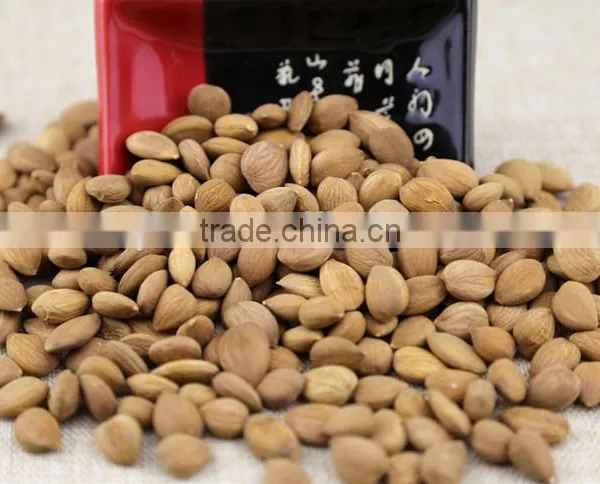 Good quality organic apricot kernel