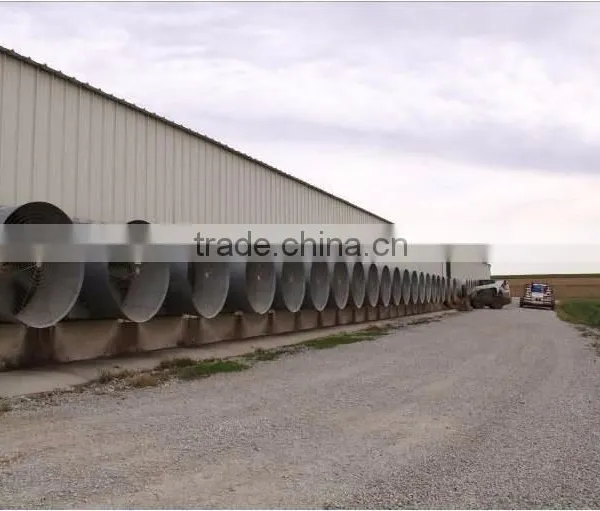 Professional Steel Structure Design Poultry Farm Shed