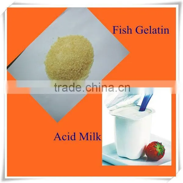Halal Food Grade Fish Gelatin