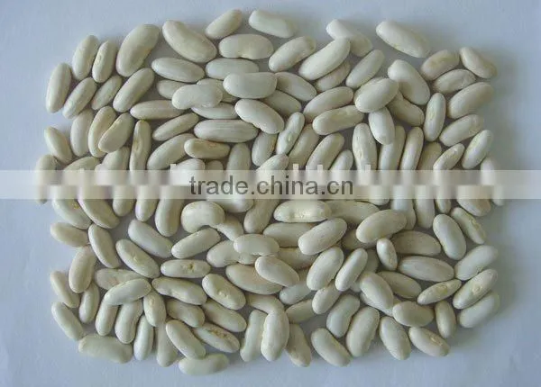 White Kidney Bean