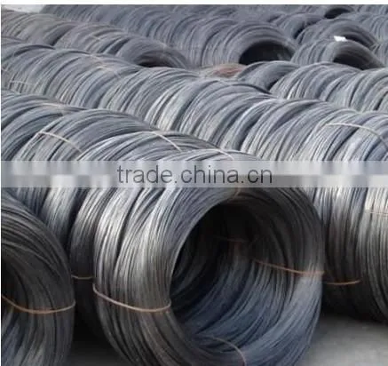 Low Carbon Iron Wire Rod Steel Coil photo-4