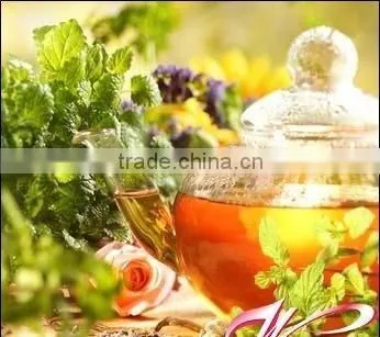 EGCG 90% 95%,green Tea Extract