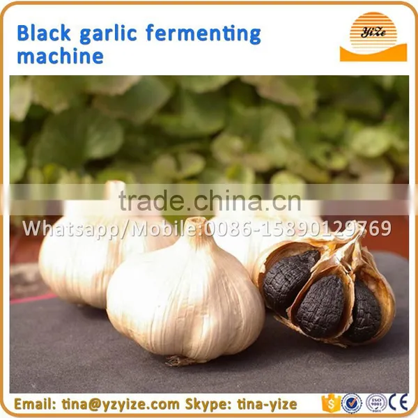 Fermented Black Garlic Fermenting Machine, Black Garlic Machine photo-4