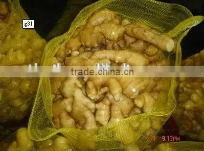 Chinese Fresh Ginger Export Price 2016 photo-4