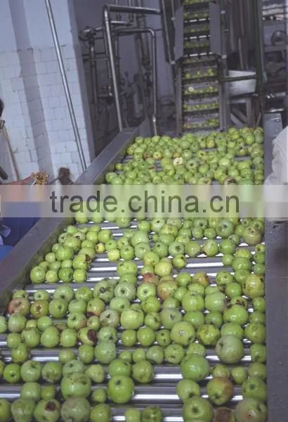 Apple Juice Processing Line photo-2