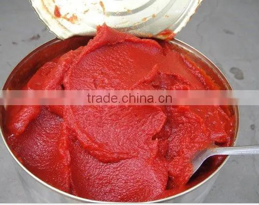 4.5KG High Quality Manufactory China Factory Canned Tomato Paste photo-2