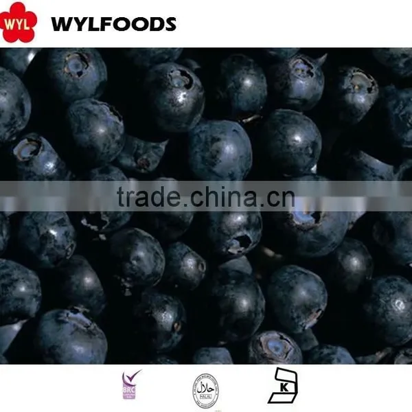 IQF Frozen Blueberry High Quality Hot Sales photo-5