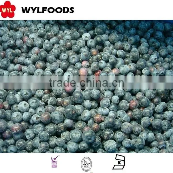 IQF Frozen Blueberry High Quality Hot Sales photo-6