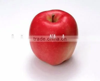 Factory Supply 100% Natural Apple Extract, Apple P.E. photo-3