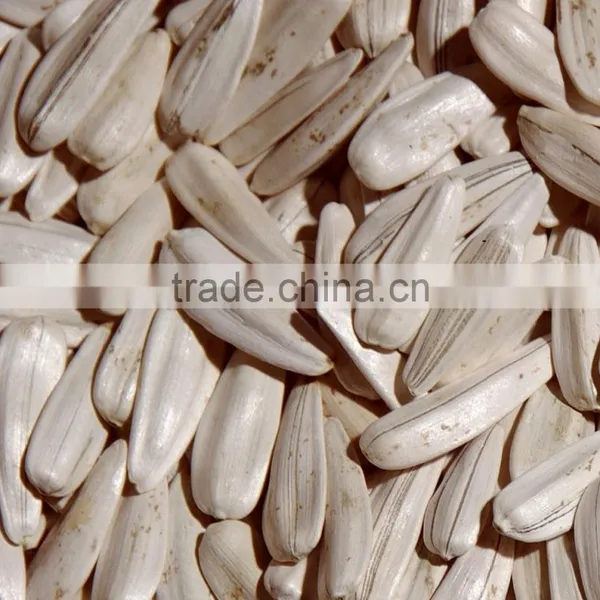 White Sunflower Seeds From Turkey All Size