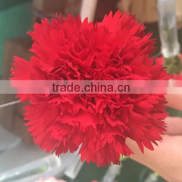Cheap Big Carnations Heads for Wholesale photo-3