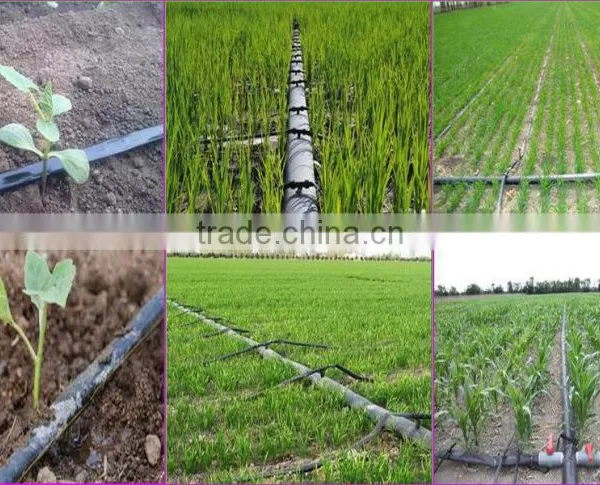 The Trunk Pipeline Water Transport Pipe for Agricultural photo-2