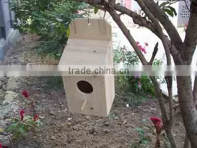 Bird Feeder