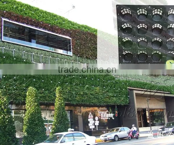Types of Ornamental Plants Hydroponics Equipment Flowerpot photo-5