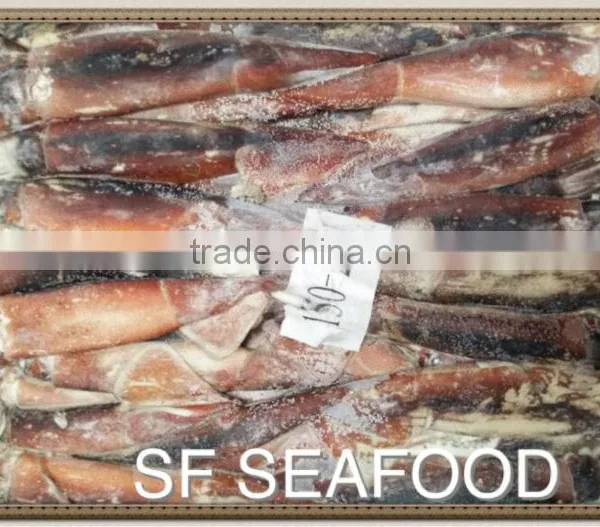 Salmon Head of Illex Squid photo-2