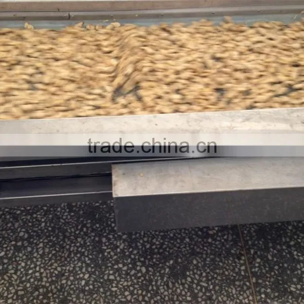 V-packed Cooked IQF Baby Clam Meat photo-5