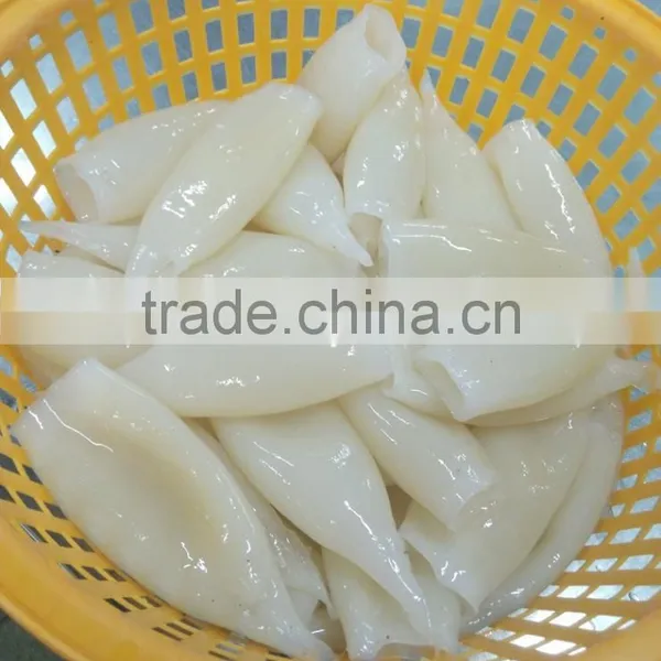 Shishi Zhengyuan Aquatic Frozen Illex Squid Tube photo-3
