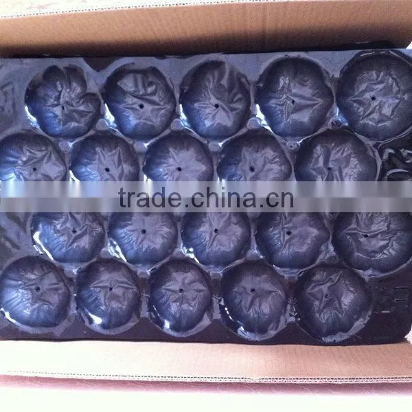 Disposable Plastic Fruit Liner photo-4