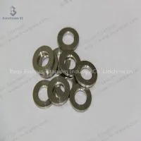 Baoji Eastsun Titanium Specialize in Titanium Titanium Nuts photo-2