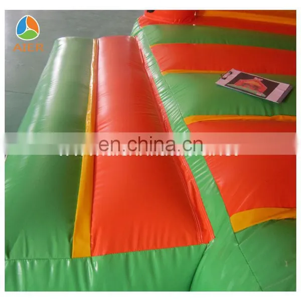 2016 Cute Tiger Themed Inflatable Bouncers for Toddlers photo-6