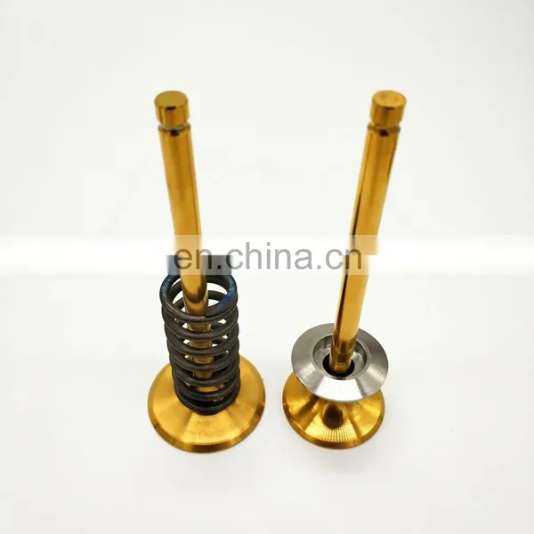 Diesel Auto Spare Parts and Accessories Engine Valves for Nissan Motor Fd6 Fd35 Fd42 Fd46 FD33 FD34 FD36 Td42 TD27 photo-7