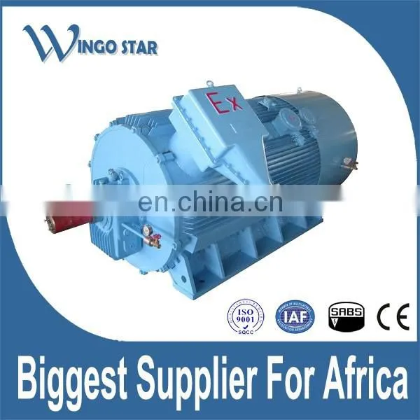 EX AC 220V/380V Small Electric Explosion Proof Motor photo-3