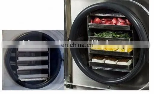 Food Freeze Dryers Sale Mini Freeze Drying Machine photo-3