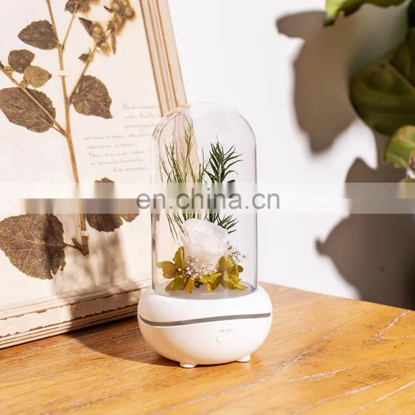 Amazon Hot Selling Aroma Lamp Wireless Comfortable Night Accompany Night Light photo-2