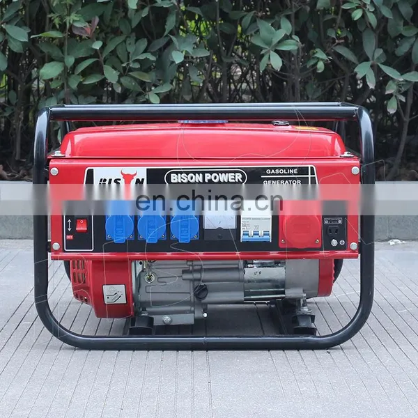 Bison China 110/220V Customized Cheap 3Kw Electric Start Gasoline Generator Set photo-4