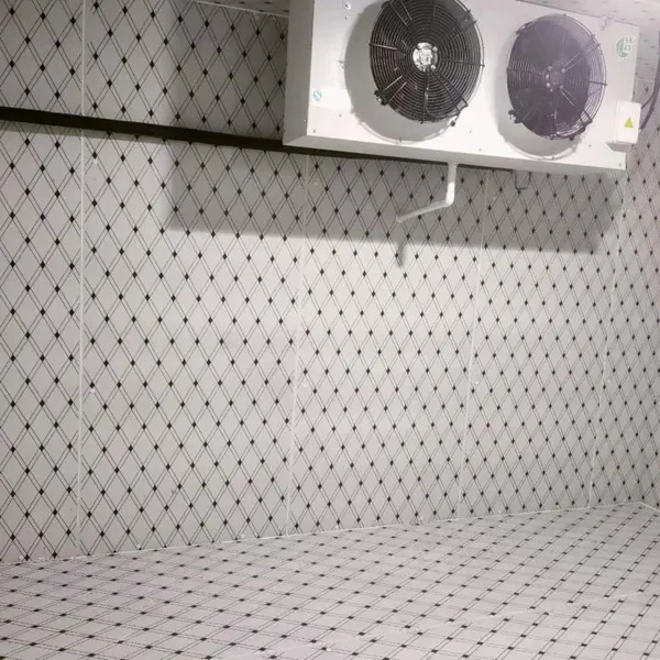 Medium Size Cold Storage,Cold Room,Cold House photo-5