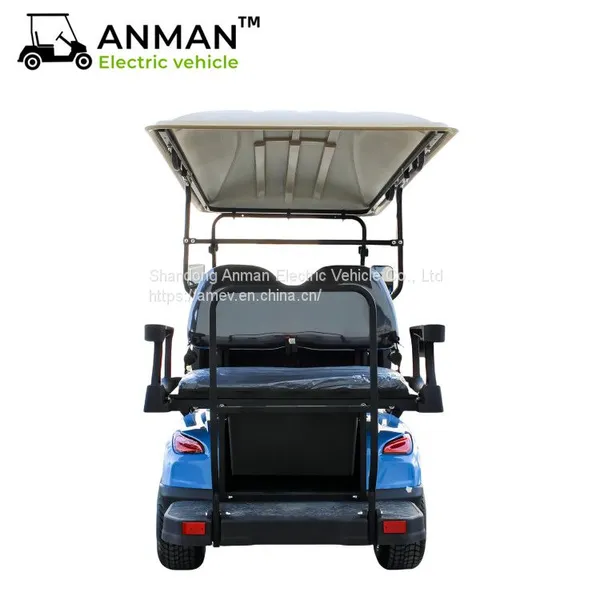 China 2+2 Seater Golf Carts, Electric Beach Car photo-5
