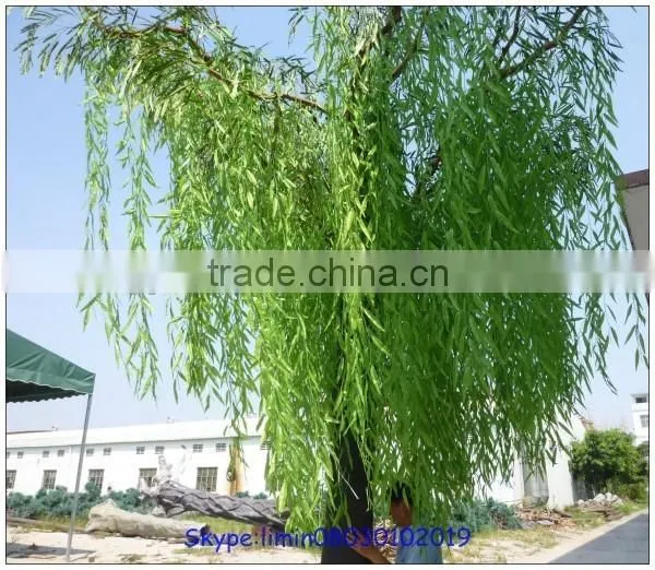 the Evergreen Leaves Artificial Trees Artificial Weeping Willow Trees photo-3