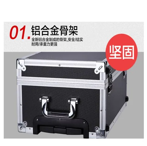 Professional Aluminum Trolley Case