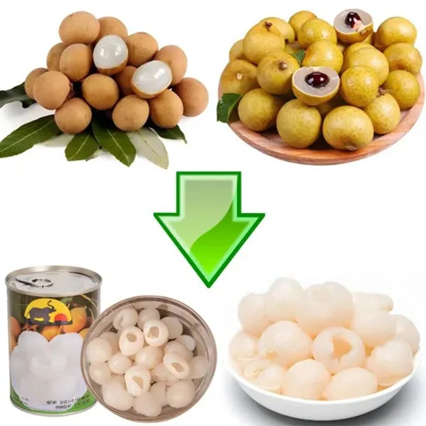 Cherry Dates Wholesale Small Automatic Dates Pitting Machine Olive Cherry Dried Plum Prunes Pitter Stones Removing Machine Date Palm Corer Apricot Plum photo-2