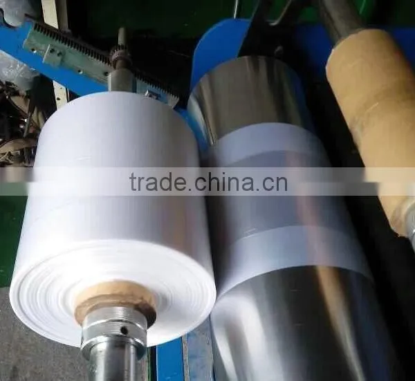 Hdpe Film Extruder photo-5