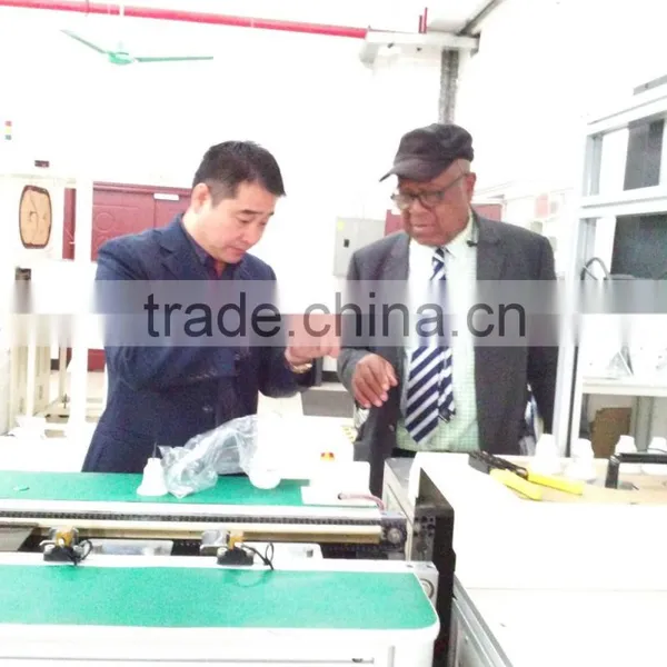 LED Lights Assembly Line and LED Lamps Production Line Equipment photo-3