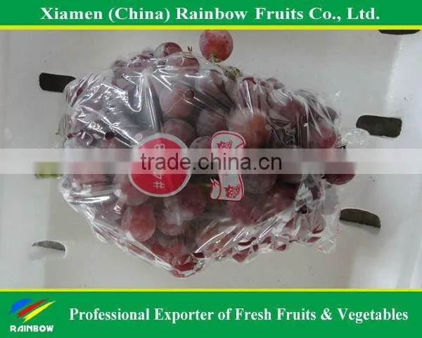 Global Grpaes/fresh Grapes Price photo-5
