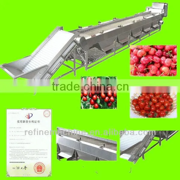 dates sorter/date grading machine/fruit grading machine