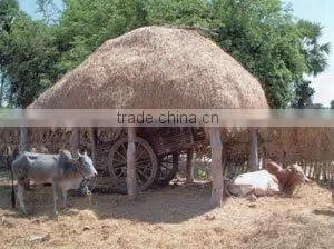 Suvimie Traditional Rice (Hetadha Wee) photo-3